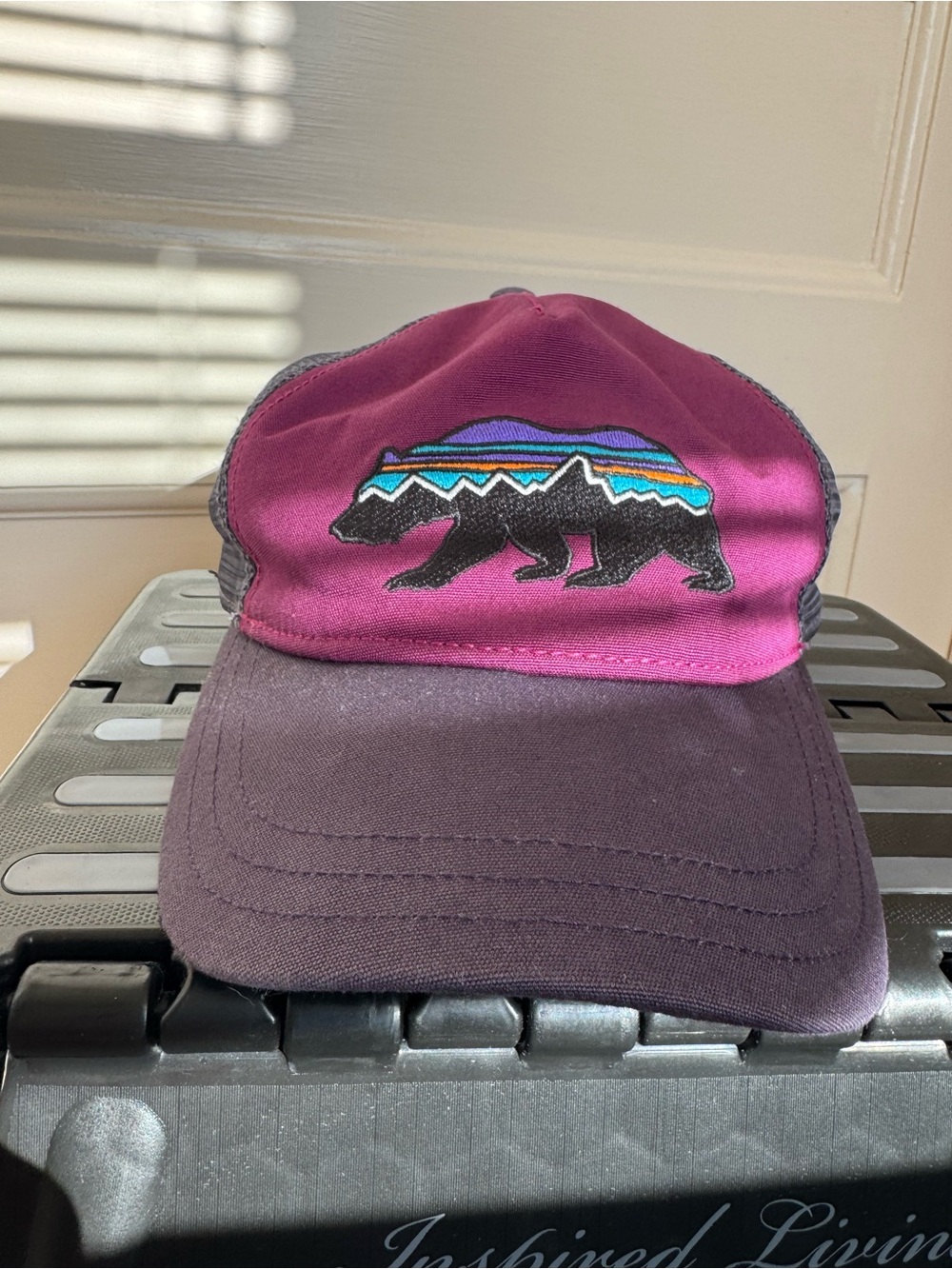 Patagonia Fitzroy Bear Trucker Hat (One Size Adult Women)